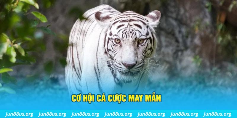 trực tiếp xổ số miền nam