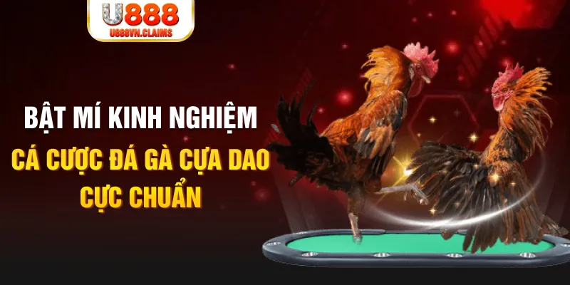 đá gà trực tiếp 67