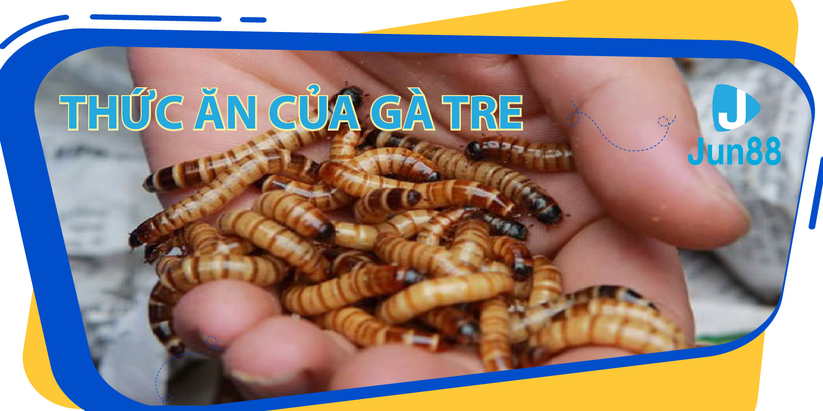 w88top đăng nhập mậu binh đổi thưởng