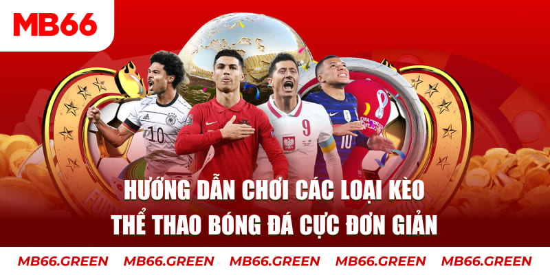 YB Bắn cá