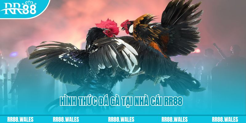 tai game danh bai online tren may tinh