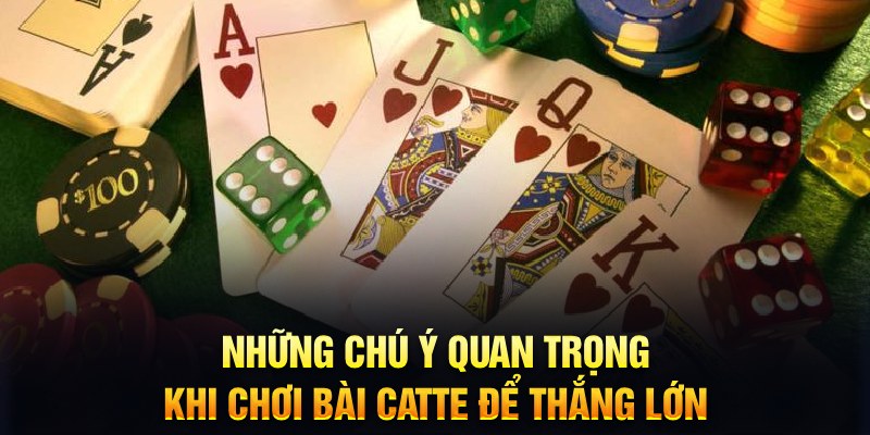 slot là gì dịch