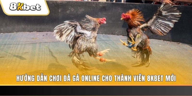 w88top đăng nhập sòng bạc rút tiền nhanh
