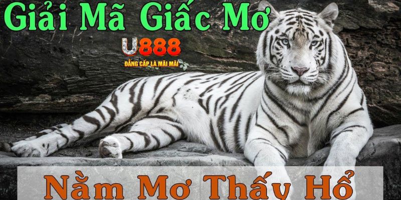 đăng nhập mậu binh miễn phí