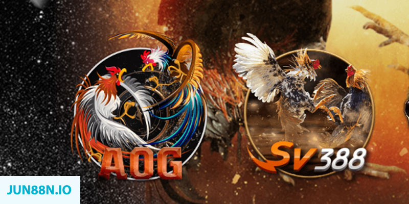 789bet có bao nhiêu sảnh game bài 3d ？