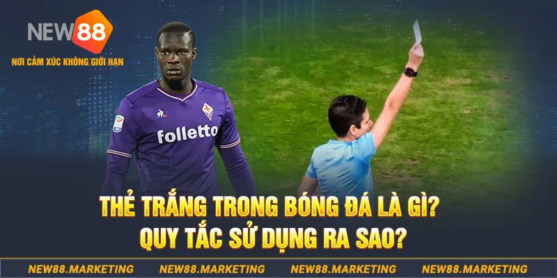 chọi gà