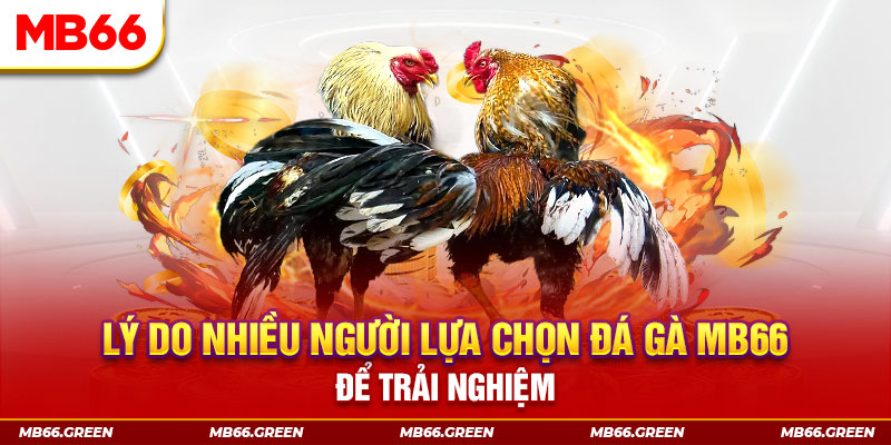 Bảy lên bảy xuống