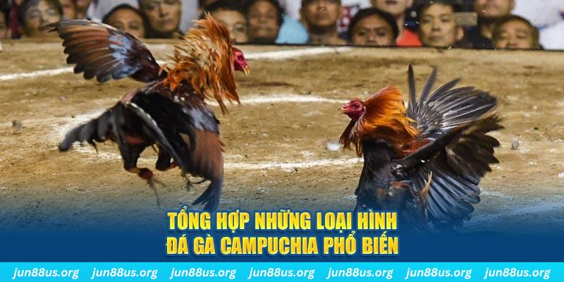 w88top đá gà trực tiếp thomo
