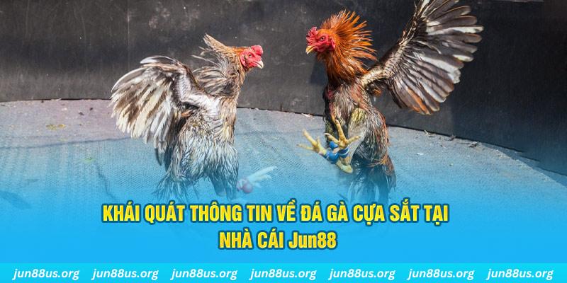 w88top JDB Bắn cá