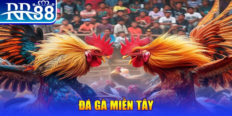 Đĩa màu ace