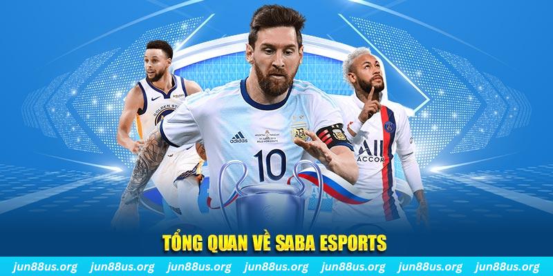 w88top what is live dealer casino